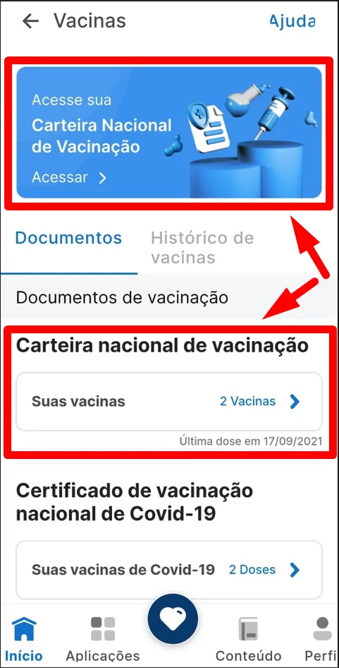histórico de vacinação no meu sus digital