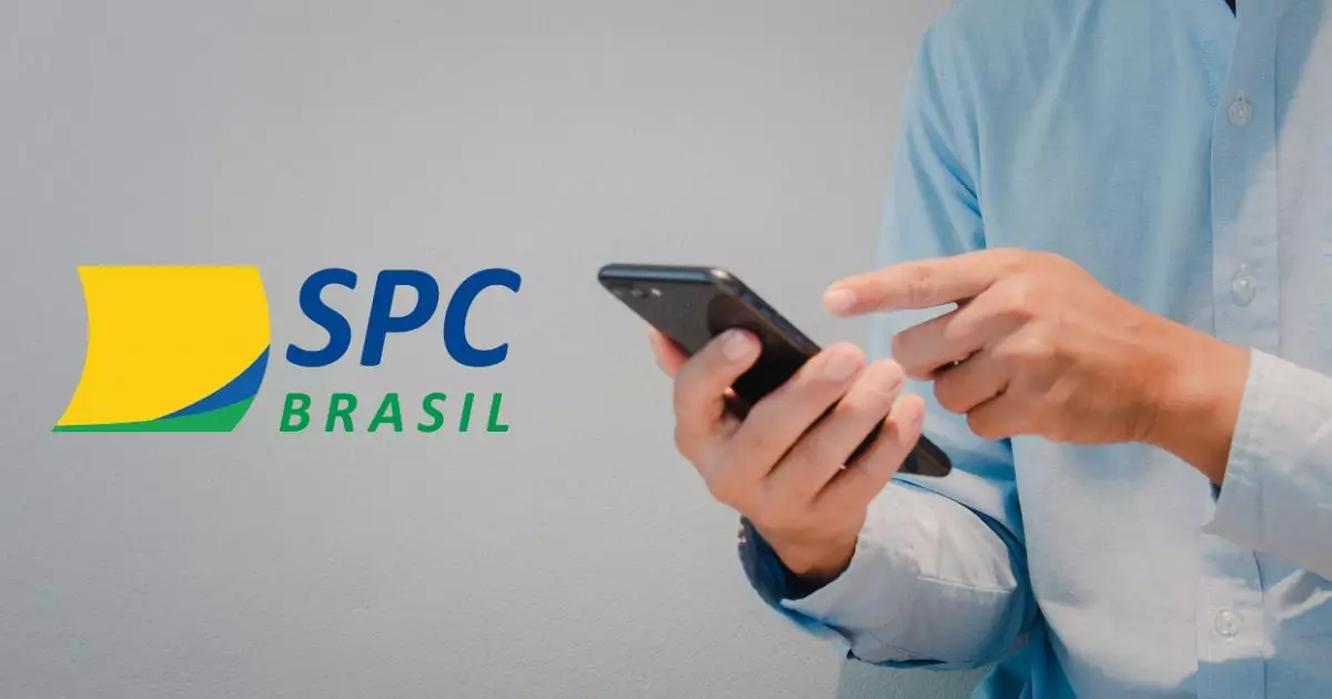 consultar cpf no SPC